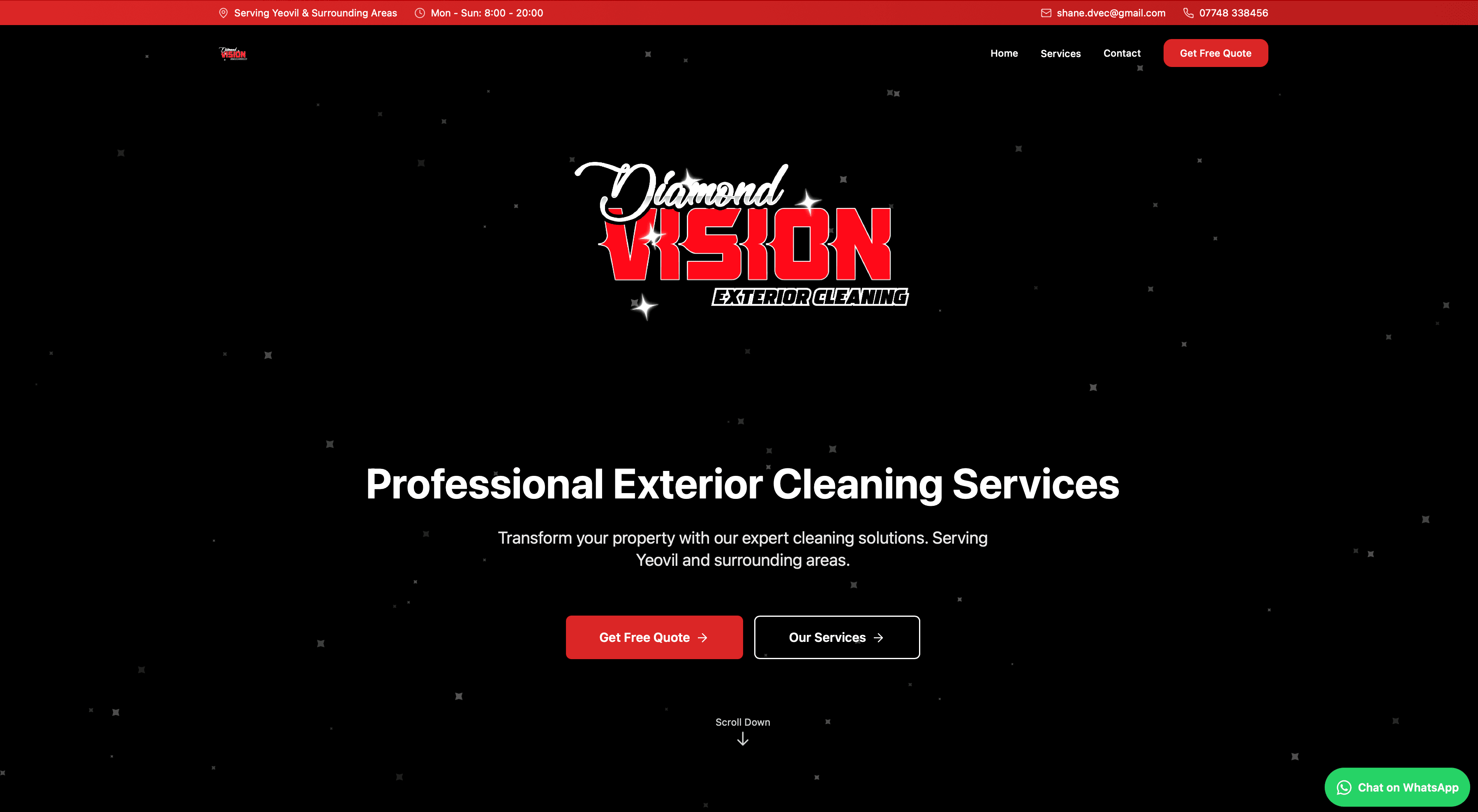 Diamond Vision Website Preview